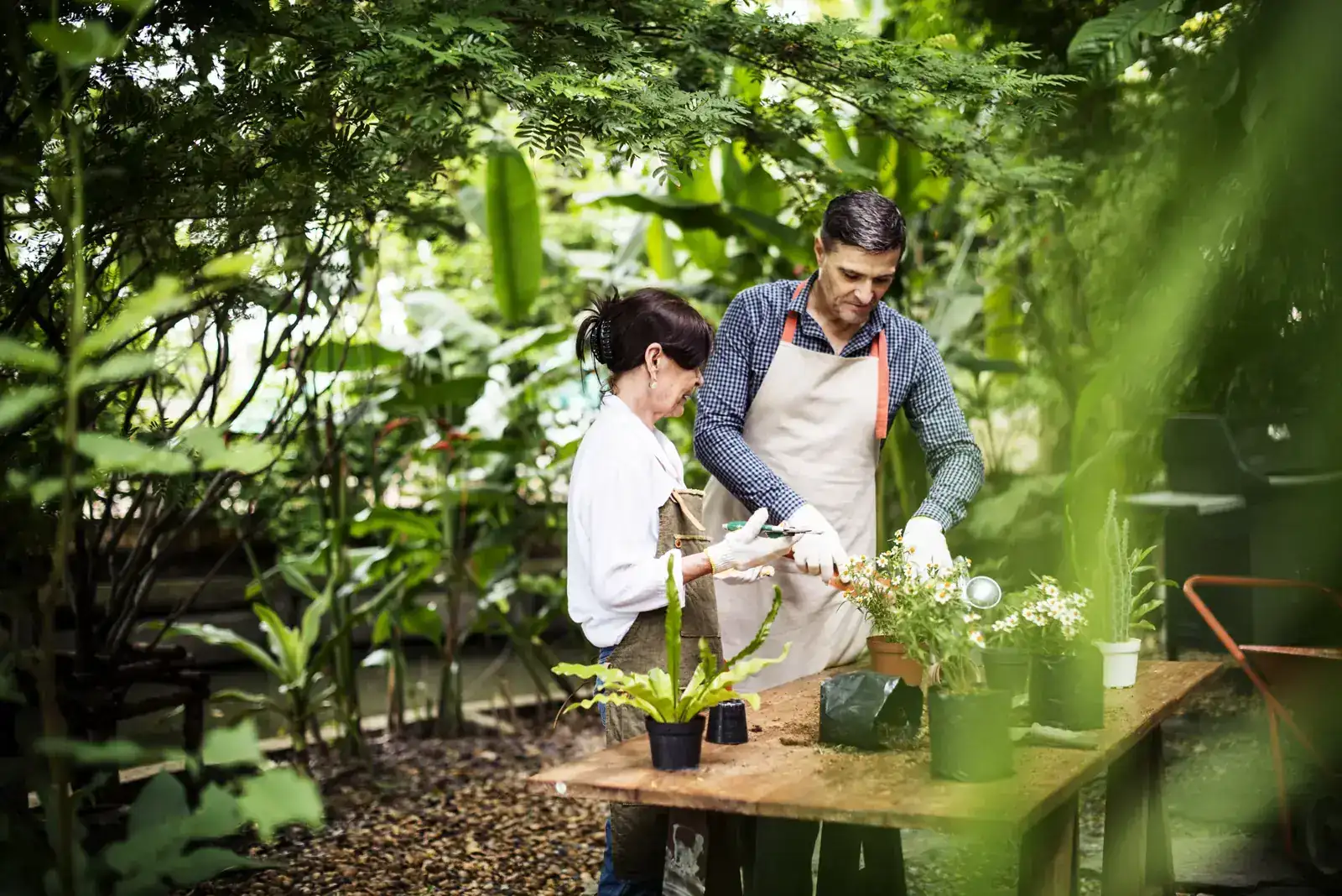 Eldre par planter blomster sammen i hagen